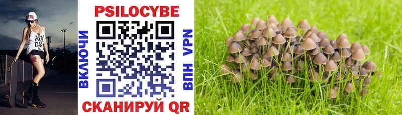 Купить закладки  Озёрск  Псилоцибиновые грибы мицелий 
